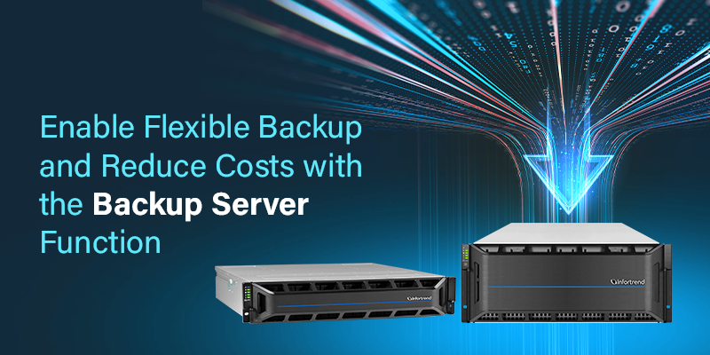 Enable Flexible Backup and Reduce Costs with the Backup Server Function